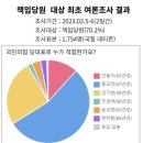 국힘당 당대표 선거 또 조작!~왜 맹종하나? 이미지