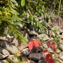 귤담 스테이 이미지