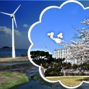 사계절풍경 이미지