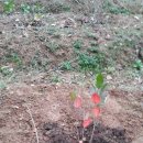 미소농장 이미지