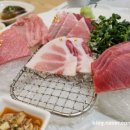 본참치가