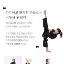 청와대경호무술 이미지