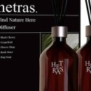 데이지플라워샵 이미지