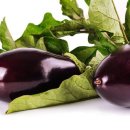 요가와자연음식 이미지