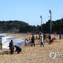 속초 김약국 이미지