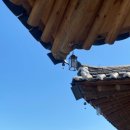 청아민박 이미지