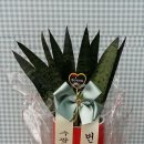 둥지 당구장 이미지