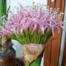 푸른맘한의원 이미지