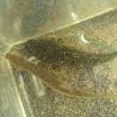 수완중학교 이미지