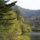 딸기민박 이미지