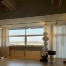 요가5 | 일자목 허리디스크 인간의 요가 5개월 차 후기(요가 시작 전에 알면 좋은 것들)🧘🏻‍♀️