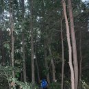 맹동농장 | 이어가는 정맥길.. 깃재-길등재-한티재-우천마을-추령-왕릉봉 산행기록