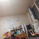 통큰딱다구리 이미지