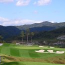 더플레이어스골프클럽 이미지