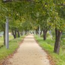 영강체육공원길 이미지