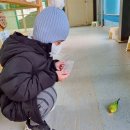 준이농장2 이미지