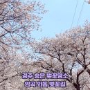 암곡와동 이미지