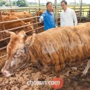 이길수농장 이미지