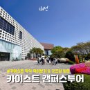 유성마을버스㈜ | 대전 카이스트 캠퍼스투어 신청 후기 카이마루 학식 카이스트굿즈