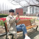 리스모어 이미지