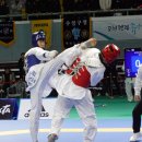 삼성태권도 체육관 뉴시스