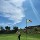 버디공인중개사사무소 이미지