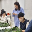 살랑살랑 봄꽃 클래스 이미지