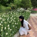 nothing written 낫띵리튼 Cotton work jacket, Leia a-line skirt 후기