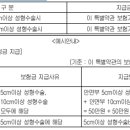 안면부 상해흉터복원(성형) 수술비 특별약관 이미지