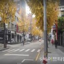 압구정로12길(가로수길) 세이프타임즈