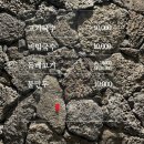 11500-15-14-17 | 겨울 제주도 혼자 여행 뚜벅이 북쪽 (공항쪽), 자매국수 • 에귤타르트