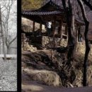 한옥1954 이미지