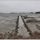 대부도 관광안내소 이미지