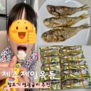 [제주제일옥돔] 국내산 참조기 영광굴비 택배 아이 반찬 후기
