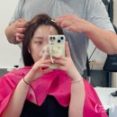 디보쉬 헤어 | 대구 탈모 두피관리 디보쉬 대구본점
