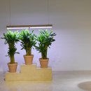 LATENCY : 유선형의 시간들 이미지