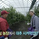 영준 농장 이미지