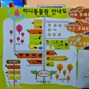 동백가든 | 제주 파더스가든 감귤체험 동물먹이주기 동백꽃 명소 후기