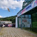 우포 따오기 구조 치료센터 | 우포따오기 도입 15주년 기념, 제8회 우포따오기 야생방사 행사 개최~~