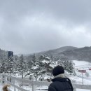 강원도 대관령 인스타핫플 삼양라운드힐 방문 실패한 후기 (+ 근처 대체 장소 추천)