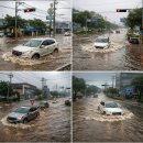 신기동78 이미지