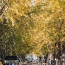 용답꽃공원 이미지