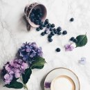 꽃과커피 이미지