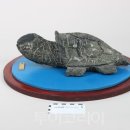 태백석탄박물관 이미지