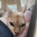 명덕동물병원 이미지