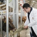 미래축산 이미지