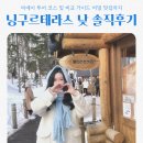 글로벌비에이 | 닝구르테라스 포함 비에이투어 솔직 후기 가이드 비밀 맛집까지!