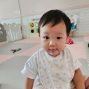 자연나라어린이집 | [평택어린이집] 14개월아기 생후첫 어린이집 적응기 1편 자연나라어린이집 으로 보냈어요