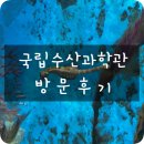 수산과학관 | 부산 국립수산과학관 방문후기
