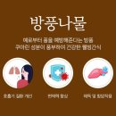 여수방풍 김부각